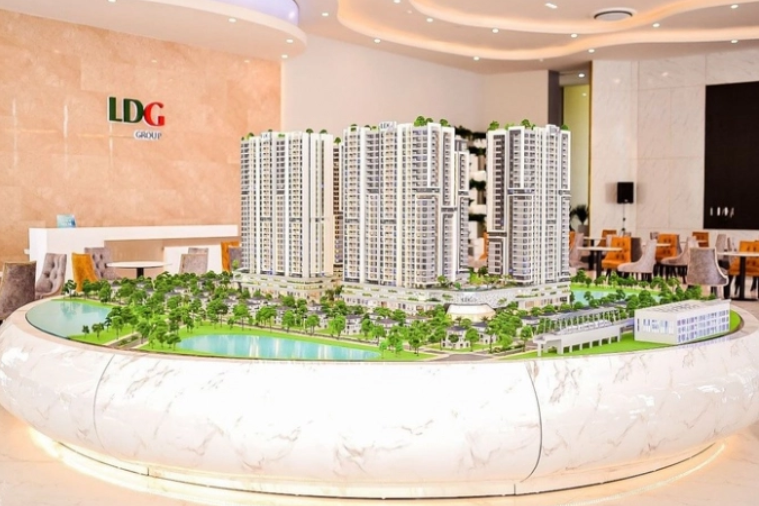 LDG th&ocirc;ng qua phương &aacute;n ph&aacute;t h&agrave;nh 120 triệu cổ phiếu ri&ecirc;ng lẻ