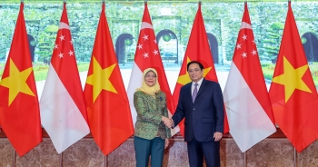 Xây dựng quan hệ đối tác kinh tế số, kinh tế xanh Việt Nam - Singapore