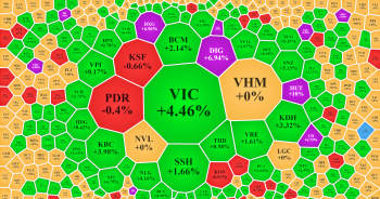 VIC dẫn dắt VN-Index đi lên, DXG - HUT - CII đồng loạt tăng trần