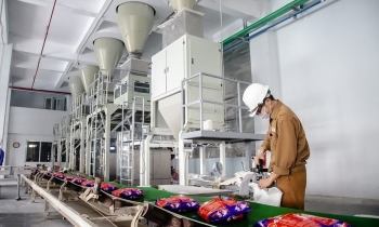 26 triệu đơn vị ‘chất’ giá sàn, cổ phiếu Đức Giang tắt thanh khoản