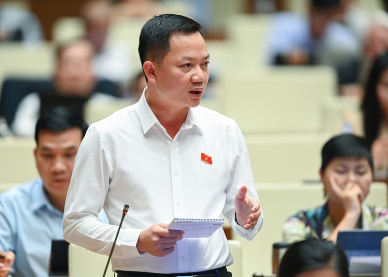 Ảnh t&aacute;c giả