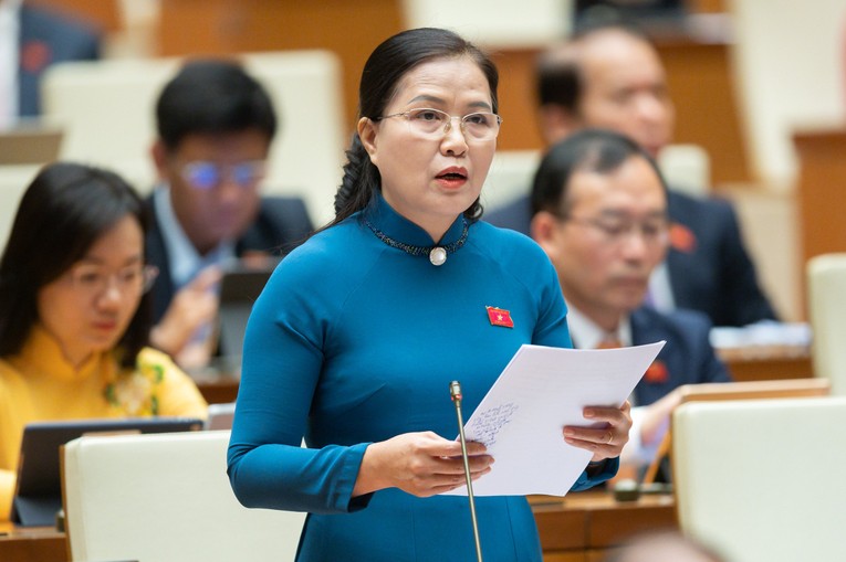 Đại biểu Đỗ Thị Lan.