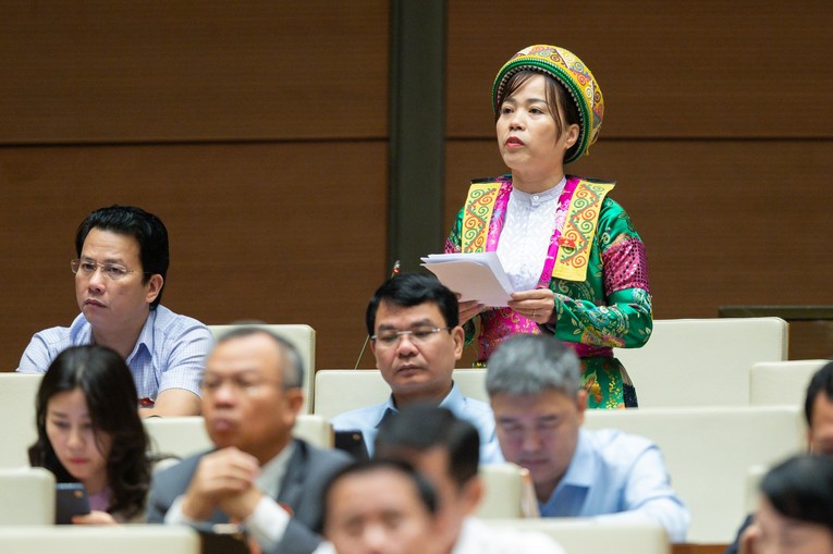 Đại biểu L&yacute; Thị Lan.