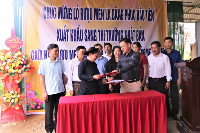 Bắc Kạn xuất khẩu lô rượu men lá đầu tiên sang Nhật Bản