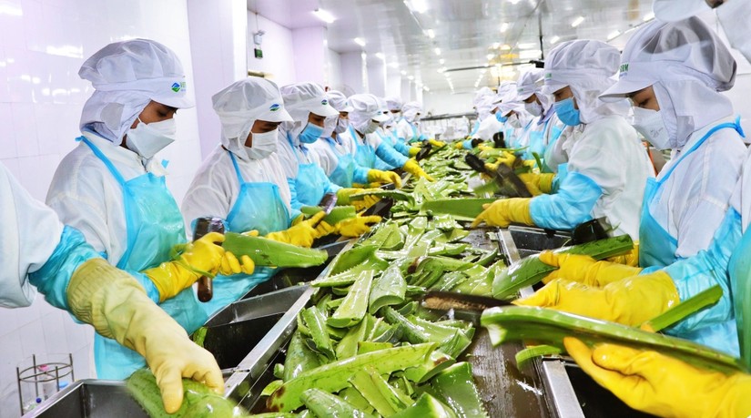 &amp;amp;quot;Vua nha đam&amp;amp;quot; GC Food đ&atilde; ho&agrave;n tất thủ tục l&ecirc;n s&agrave;n chứng kho&aacute;n v&agrave;o cuối năm 2022.