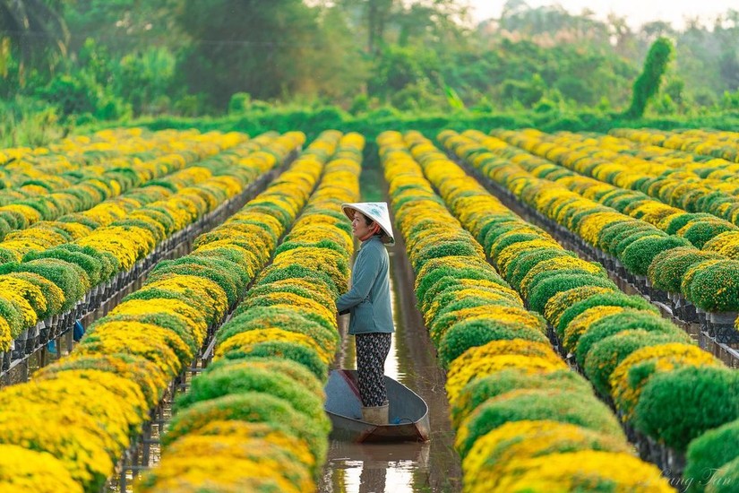 X&acirc;y dựng Đồng Th&aacute;p th&agrave;nh tỉnh ti&ecirc;n phong về n&ocirc;ng th&ocirc;n hiện đại