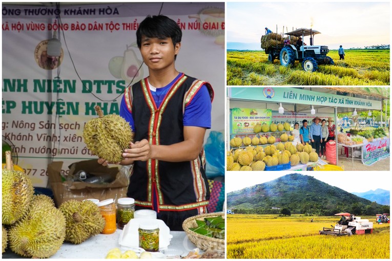 Sầu ri&ecirc;ng hạt l&eacute;p l&agrave; sản phẩm của b&agrave; con n&ocirc;ng d&acirc;n miền n&uacute;i huyện Kh&aacute;nh Vĩnh (tỉnh Kh&aacute;nh Ho&agrave;)