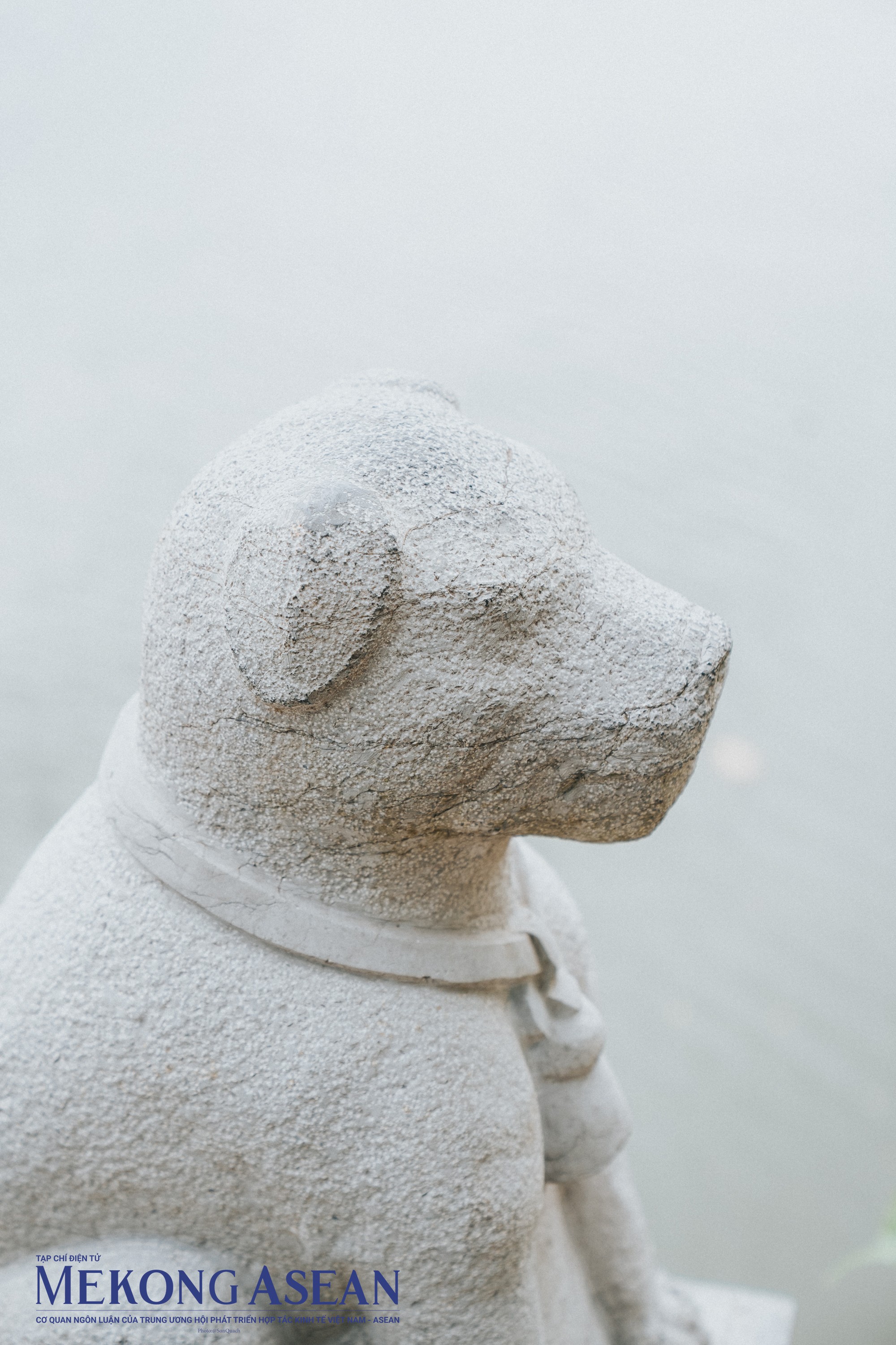 Đ&uacute;ng với c&aacute;i t&ecirc;n Cẩu Nhi, h&igrave;nh ảnh những ch&uacute; ch&oacute; chế t&aacute;c bằng đ&aacute; xuất hiện hầu như mọi vị tr&iacute; trong đền, từ ngay vị tr&iacute; s&aacute;t cạnh cầu đ&aacute; cho tới mọi bậc thềm trong đền .