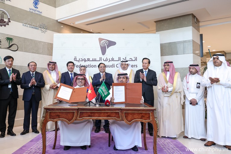 Việt Nam sẵn s&agrave;ng ch&agrave;o đ&oacute;n v&agrave; tạo điều kiện cho nh&agrave; đầu tư Saudi Arabia ảnh 4