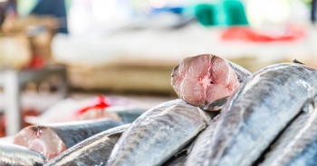 Xuất khẩu thủy sản có thể mang về 2,4 tỷ USD trong quý 4/2023