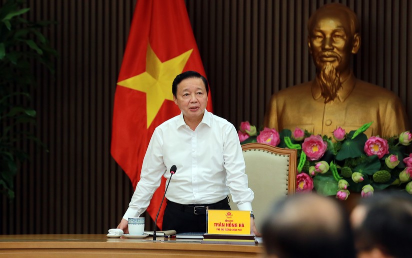 Ph&oacute; Thủ tướng Trần Hồng H&agrave; tại cuộc họp. Ảnh:VGP.