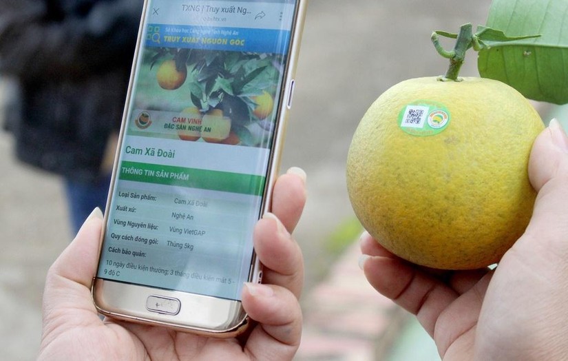 Truy xuất nguồn gốc sản phẩm, kh&ocirc;ng thể k&eacute;o d&agrave;i t&igrave;nh trạng m&ugrave; mờ