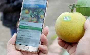 Truy xuất nguồn gốc sản phẩm, không thể kéo dài tình trạng mù mờ