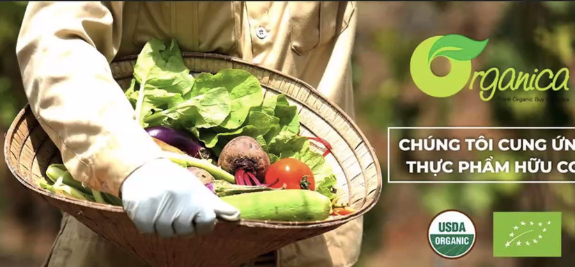 Diện t&iacute;ch canh t&aacute;c n&ocirc;ng nghiệp hữu cơ ở Việt Nam tăng l&ecirc;n nhanh ch&oacute;ng