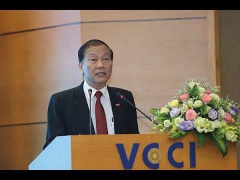 &Ocirc;ng Ho&agrave;ng Quang Ph&ograve;ng, Ph&oacute; Chủ tịch Ph&ograve;ng Thương mại v&agrave; C&ocirc;ng nghiệp Việt Nam (VCCI)