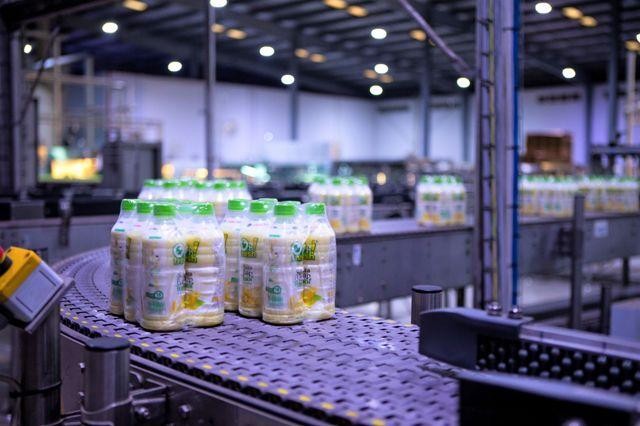 Sau những th&agrave;nh c&ocirc;ng trong thương vụ M&amp;amp;amp;A , KIDO hiện đang nắm giữ hệ thống nh&agrave; m&aacute;y sản xuất hiện đại, lợi thế về logistics v&agrave; d&acirc;y chuyền c&ocirc;ng nghệ