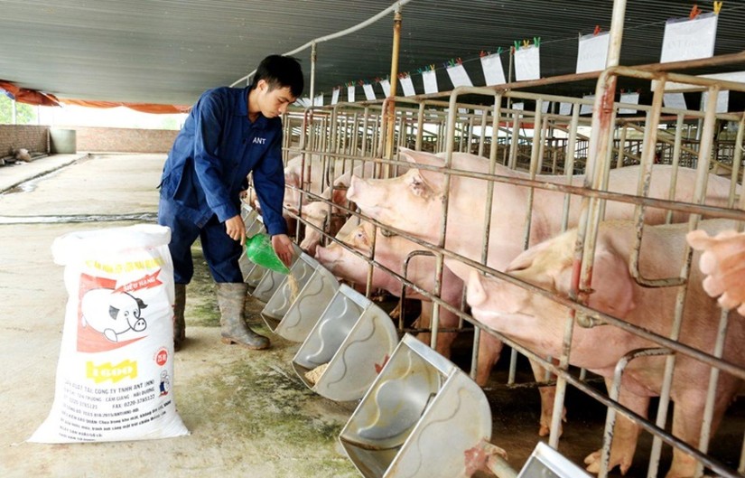 Tạo thuận lợi hơn cho người d&acirc;n v&agrave; doanh nghiệp trong chăn nu&ocirc;i