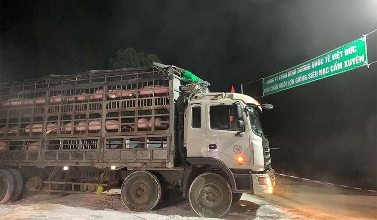 Bổ sung quy định về cửa khẩu tiếp nhận vật nu&ocirc;i sống nhập khẩu