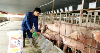 Sửa đổi một số quy định đối với ngành chăn nuôi