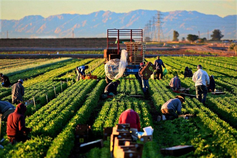 Bộ NN PTNT cam kết đồng h&agrave;nh c&ugrave;ng FAO