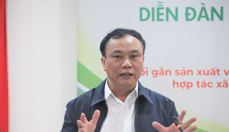 Ảnh t&aacute;c giả