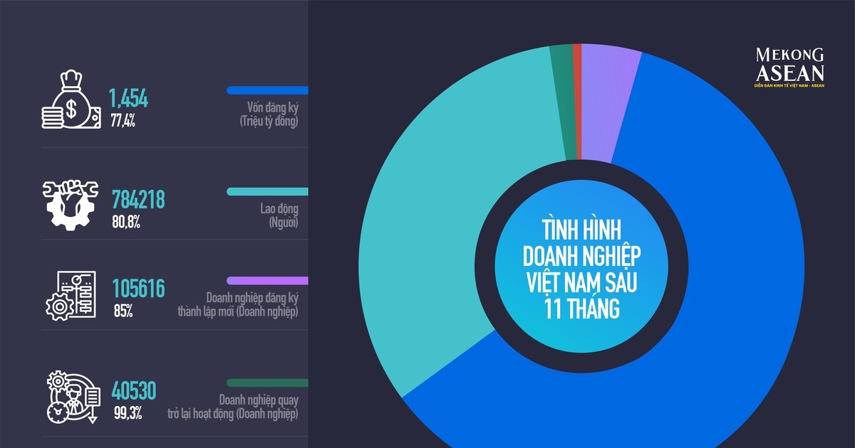 Tình hình hoạt động của doanh nghiệp Việt Nam trong 11 tháng đầu năm