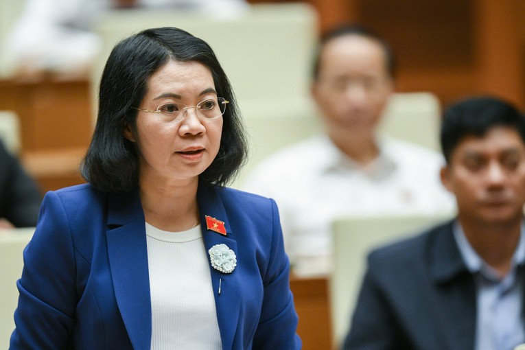 Đại biểu Mai Thị Phương Hoa - Đo&agrave;n ĐBQH tỉnh Nam Định.