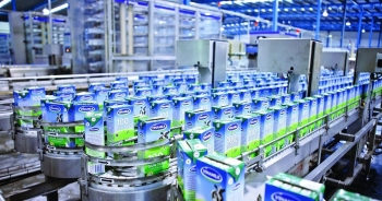 Vinamilk rót thêm 19 triệu USD vào trang trại bò sữa tại Campuchia