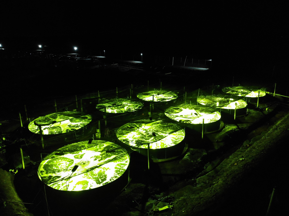 Hệ thống chiếu sáng thông minh có thể giảm tới 80% chi phí điện năng