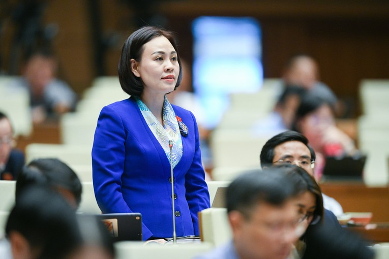 Đại biểu Trần Thị Hồng Thanh - Đo&agrave;n ĐBQH tỉnh Ninh B&igrave;nh