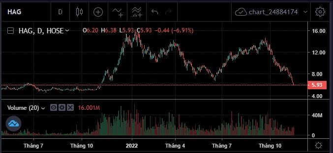 HAG liên tục giảm sàn, lãnh đạo HAGL lên tiếng trấn an cổ đông
