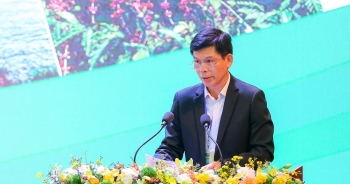 Các tuyến cao tốc liên kết vùng sẽ 'đánh thức' một Tây Nguyên trù phú