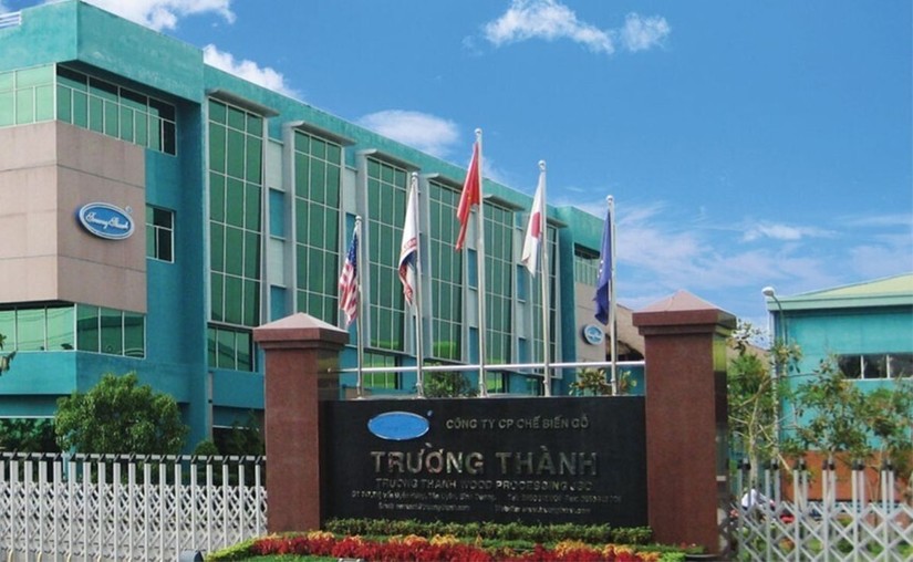 Gỗ Trường Th&agrave;nh giải tr&igrave;nh về việc cổ phiếu li&ecirc;n tục tăng trần
