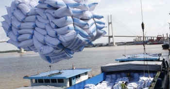 Xuất khẩu gạo Việt Nam được dự báo sẽ tạo đỉnh mới 4,5 tỷ USD