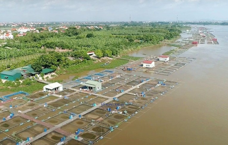 Tr&ecirc;n địa b&agrave;n tỉnh hiện c&oacute; 214 v&ugrave;ng nu&ocirc;i trồng thủy sản tập trung với tổng diện t&iacute;ch tr&ecirc;n 6.000 ha.