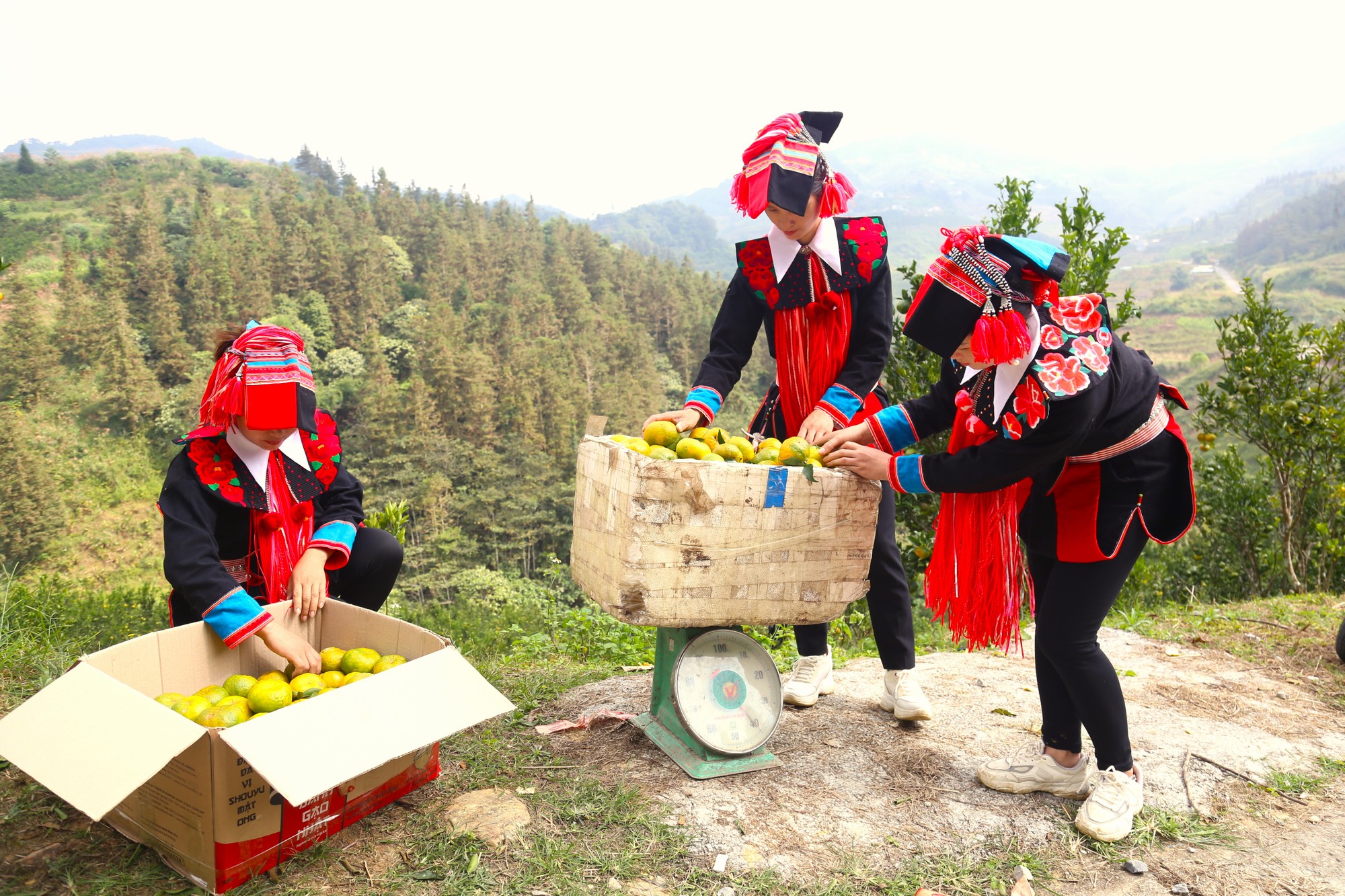 Người d&acirc;n b&agrave;y b&aacute;n qu&yacute;t ngay trong th&ocirc;n cho kh&aacute;ch du lịch đến ăn thử v&agrave; mua h&agrave;ng. (Ảnh: Hải Nam)
