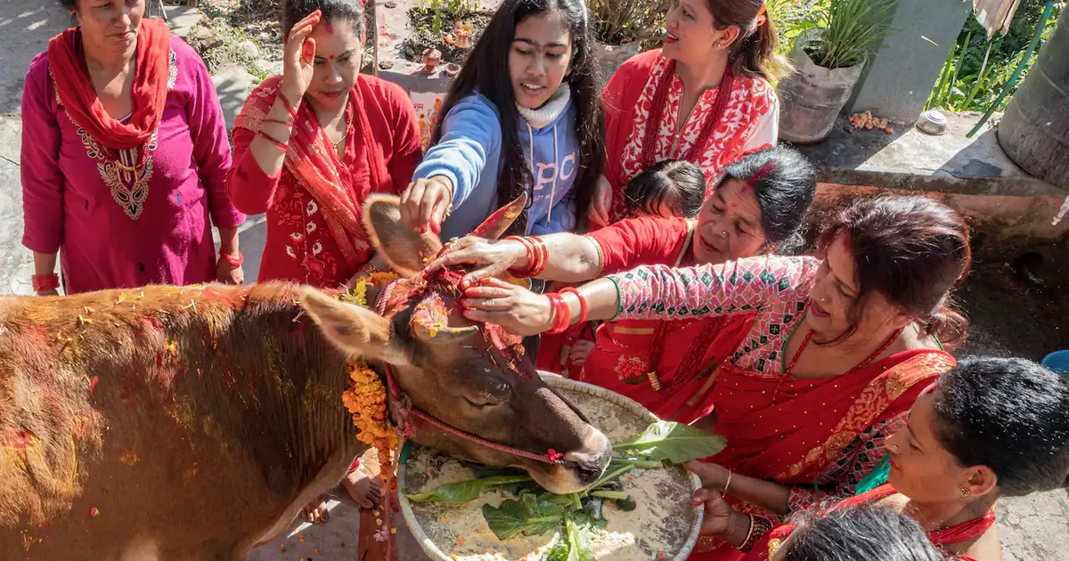 Người dân Nepal tổ chức lễ hội ánh sáng Tihar như thế nào