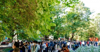 Hà Nội: Người dân xếp hàng dài vào thăm bên trong tháp nước Hàng Đậu