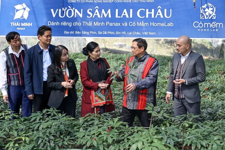 Thủ tướng Phạm Minh Ch&iacute;nh thăm vườn s&acirc;m Lai Ch&acirc;u tại x&atilde; S&agrave; Dề Ph&igrave;n. Ảnh: VGP