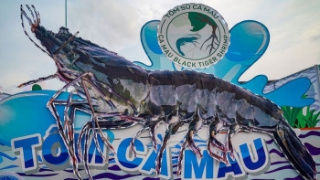 Cà Mau lần đầu tiên tổ chức Festival tôm