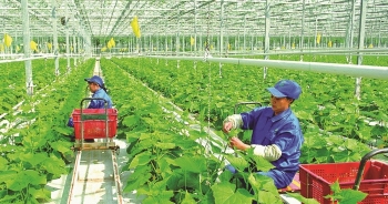 World bank cam kết hỗ trợ Việt Nam phát triển chuỗi giá trị nông nghiệp giảm phát thải carbon