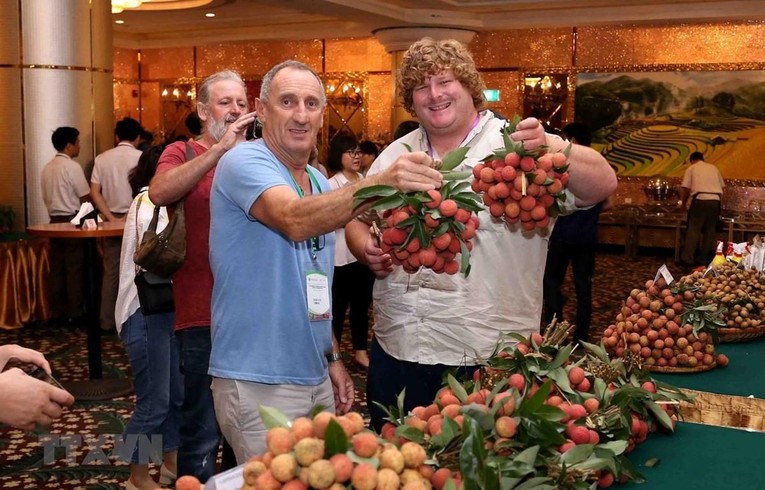 Xuất khẩu rau củ quả tươi đang gặp nhiều thử th&aacute;ch do ảnh hưởng từ đại dịch - Ảnh minh họa