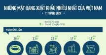 Những mặt hàng xuất khẩu nhiều nhất 11 tháng qua