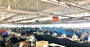 22% doanh nghiệp đã phục hồi như trước dịch