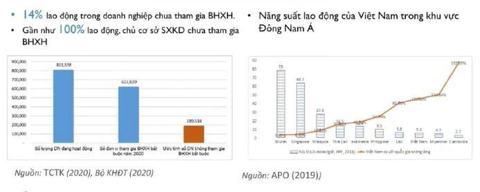 Không thể để cấu trúc doanh nghiệp lệch lạc như hiện nay