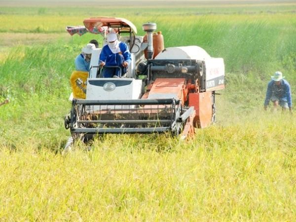 &Ocirc;ng Trần Th&aacute;i Nguy&ecirc;n, Ph&oacute; Gi&aacute;m đốc Sở NN&amp;amp;amp;amp;PTNT tỉnh Cần Thơ: &amp;amp;amp;quot;Nếu lợi thế của ĐBSCL chỉ l&agrave; trồng l&uacute;a th&igrave; c&oacute; thể khẳng định trồng l&uacute;a mu&ocirc;n đời ngh&egrave;o&amp;amp;amp;quot;