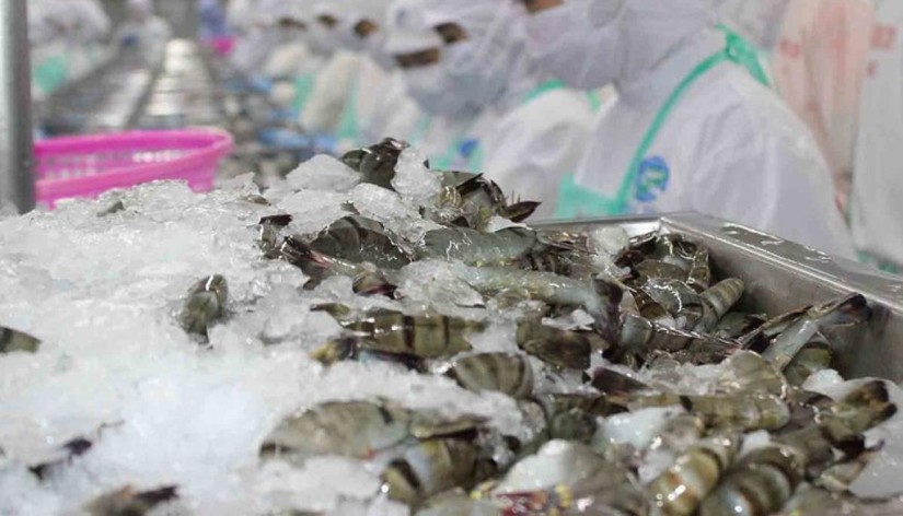 Xuất khẩu t&ocirc;m Việt Nam sang khối CPTPP phục hồi