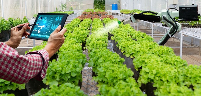 Mục ti&ecirc;u năm 2025 cả nước c&oacute; tr&ecirc;n 3.000 hợp t&aacute;c x&atilde; ứng dụng c&ocirc;ng nghệ cao v&agrave;o sản xuất, truy xuất nguồn gốc v&agrave; ti&ecirc;u thụ n&ocirc;ng sản.