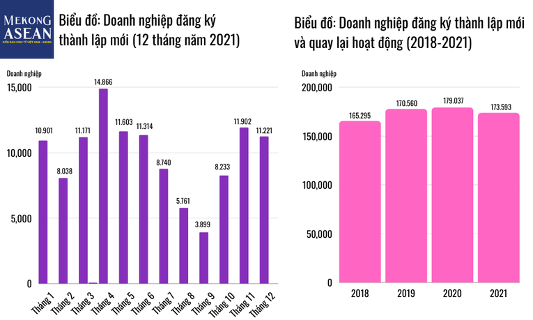TS. Đinh Trọng Thịnh: Năm 2021 GDP chỉ tăng 2,58% nhưng là cả một sự nỗ lực