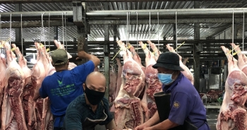 Nguồn cung thịt lợn dồi dào nhưng dự báo nhu cầu tiêu thụ giảm dịp Tết
